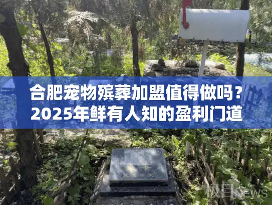 合肥宠物殡葬加盟值得做吗？2025年鲜有人知的盈利门道与实战案例