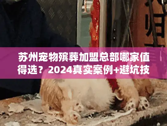 苏州宠物殡葬加盟总部哪家值得选?2024真实案例+避坑技巧大公开 苏州宠物殡葬加盟总部哪家值得选?2024真实案例+避坑技巧大公开