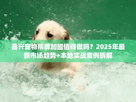 嘉兴宠物殡葬加盟值得做吗？2025年最新市场趋势+本地实战案例拆解