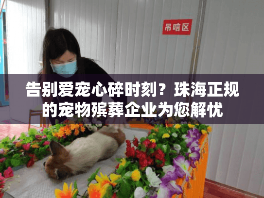 告别爱宠心碎时刻？珠海正规的宠物殡葬企业为您解忧