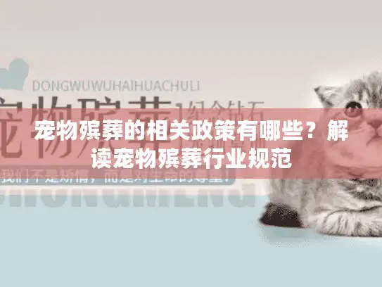 宠物殡葬的相关政策有哪些？解读宠物殡葬行业规范