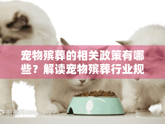 宠物殡葬的相关政策有哪些？解读宠物殡葬行业规范