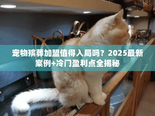 宠物殡葬加盟值得入局吗？2025最新案例+冷门盈利点全揭秘