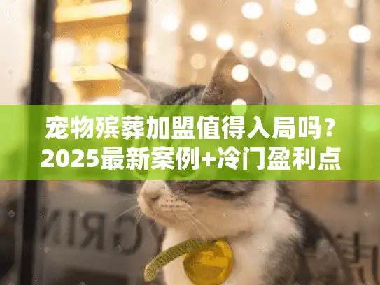 宠物殡葬加盟值得入局吗？2025最新案例+冷门盈利点全揭秘