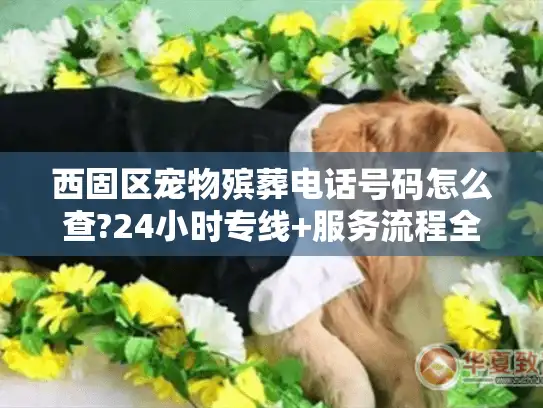 西固区宠物殡葬电话号码怎么查?24小时专线+服务流程全解析 西固区宠物殡葬电话号码怎么查?24小时专线+服务流程全解析