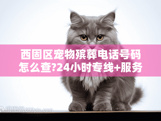 西固区宠物殡葬电话号码怎么查?24小时专线+服务流程全解析 西固区宠物殡葬电话号码怎么查?24小时专线+服务流程全解析