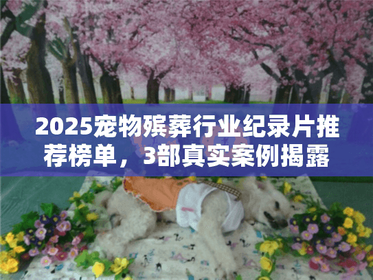 2025宠物殡葬行业纪录片推荐榜单，3部真实案例揭露行业真相，养宠人必看