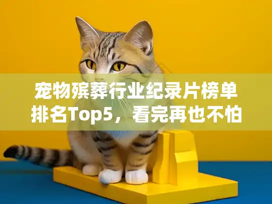 宠物殡葬行业纪录片榜单排名Top5，看完再也不怕选错服务！