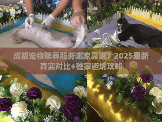 成都宠物殡葬服务哪家靠谱?2025最新真实对比+独家避坑攻略 成都宠物殡葬服务哪家靠谱?2025最新真实对比+独家避坑攻略