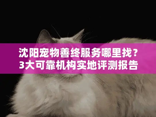 沈阳宠物善终服务哪里找？3大可靠机构实地评测报告