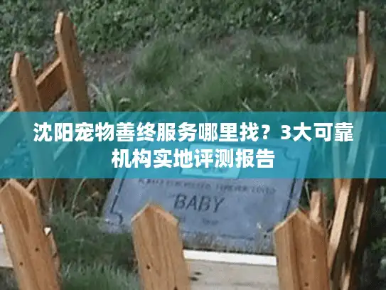 沈阳宠物善终服务哪里找？3大可靠机构实地评测报告