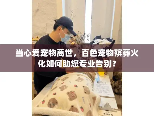 当心爱宠物离世,百色宠物殡葬火化如何助您专业告别? 当心爱宠物离世,百色宠物殡葬火化如何助您专业告别?