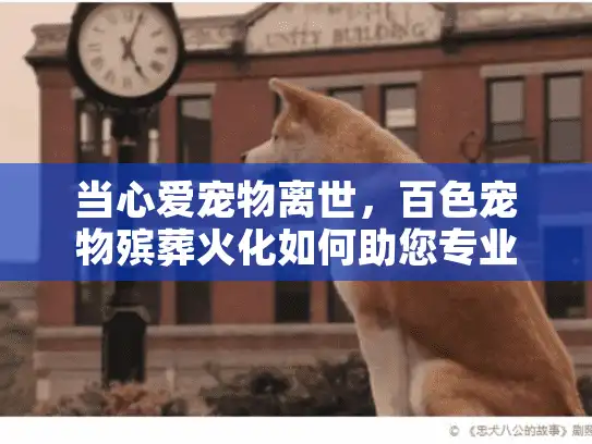 当心爱宠物离世,百色宠物殡葬火化如何助您专业告别? 当心爱宠物离世,百色宠物殡葬火化如何助您专业告别?