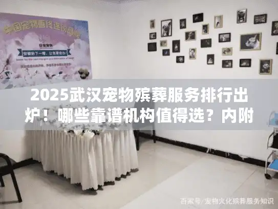 2025武汉宠物殡葬服务排行出炉！哪些靠谱机构值得选？内附避坑细节）