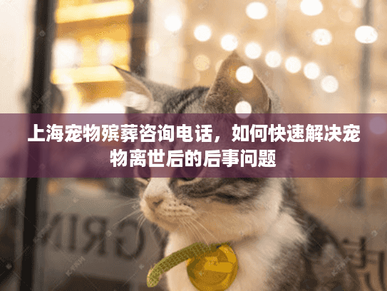 上海宠物殡葬咨询电话，如何快速解决宠物离世后的后事问题