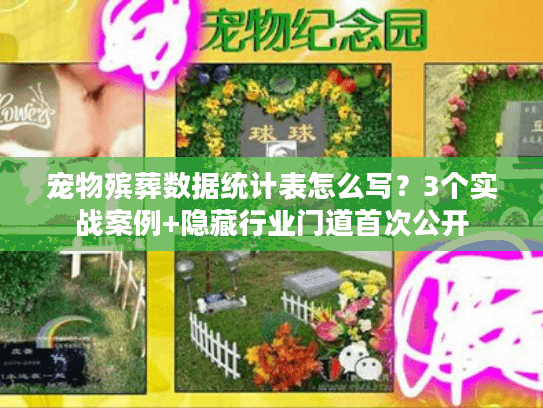 宠物殡葬数据统计表怎么写？3个实战案例+隐藏行业门道首次公开