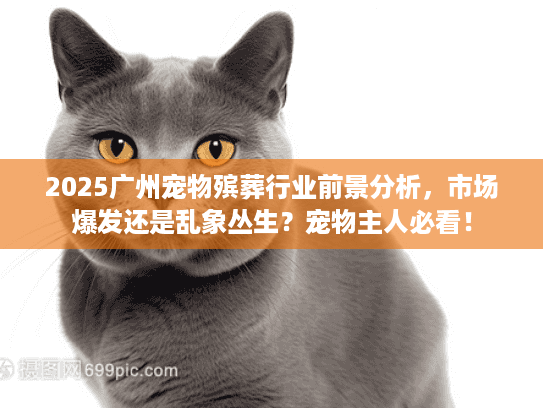 2025广州宠物殡葬行业前景分析，市场爆发还是乱象丛生？宠物主人必看！