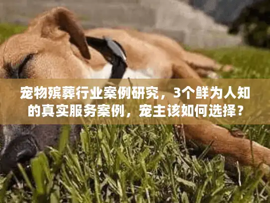 宠物殡葬行业案例研究,3个鲜为人知的真实服务案例,宠主该如何选择? 宠物殡葬行业案例研究,3个鲜为人知的真实服务案例,宠主该如何选择?