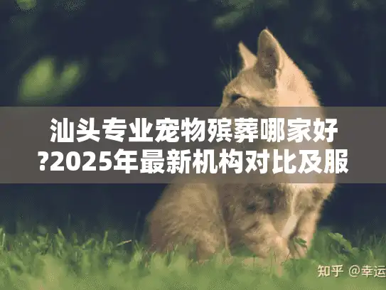 汕头专业宠物殡葬哪家好?2025年最新机构对比及服务推荐