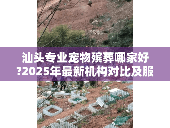 汕头专业宠物殡葬哪家好?2025年最新机构对比及服务推荐
