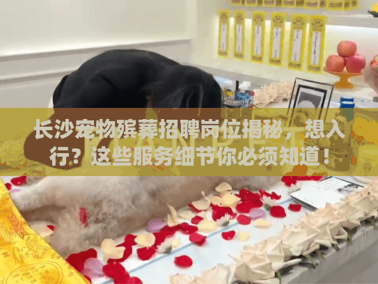 长沙宠物殡葬招聘岗位揭秘，想入行？这些服务细节你必须知道！