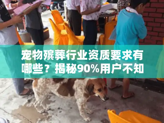 宠物殡葬行业资质要求有哪些？揭秘90%用户不知道的合规服务关键