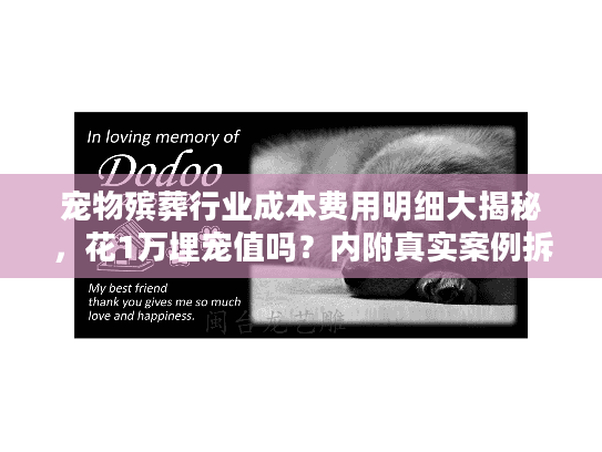 宠物殡葬行业成本费用明细大揭秘，花1万埋宠值吗？内附真实案例拆解