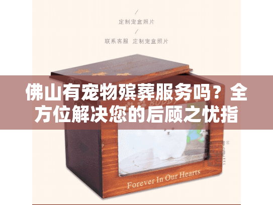 佛山有宠物殡葬服务吗？全方位解决您的后顾之忧指南