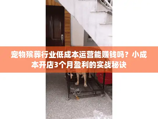 宠物殡葬行业低成本运营能赚钱吗？小成本开店3个月盈利的实战秘诀