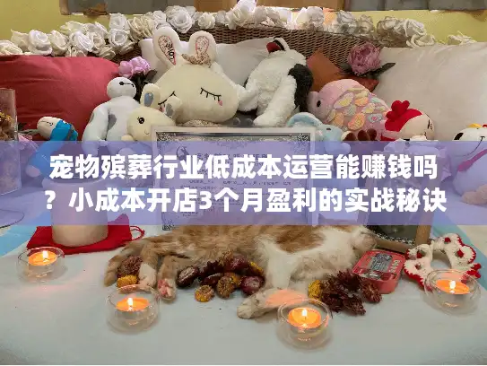 宠物殡葬行业低成本运营能赚钱吗？小成本开店3个月盈利的实战秘诀