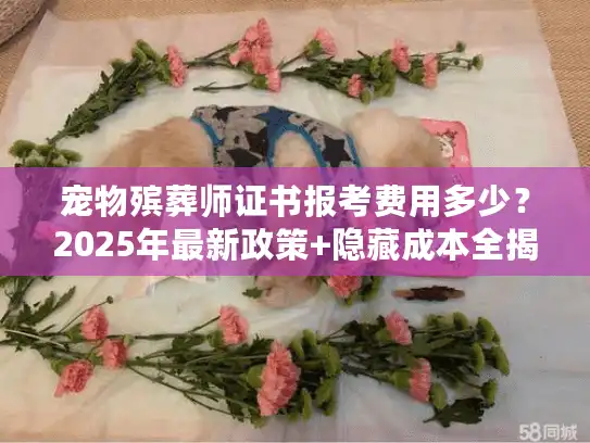 宠物殡葬师证书报考费用多少?2025年最新政策+隐藏成本全揭秘 宠物殡葬师证书报考费用多少?2025年最新政策+隐藏成本全揭秘