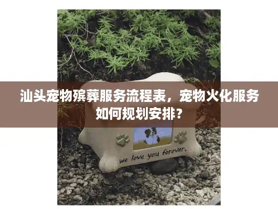 汕头宠物殡葬服务流程表，宠物火化服务如何规划安排？