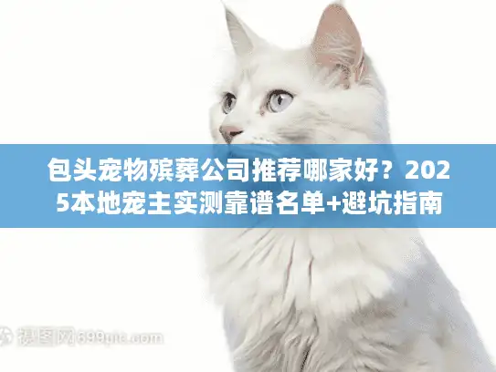 包头宠物殡葬公司推荐哪家好？2025本地宠主实测靠谱名单+避坑指南