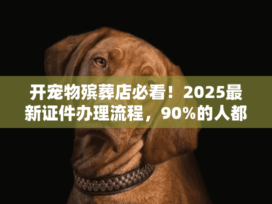 开宠物殡葬店必看！2025最新证件办理流程，90%的人都踩过这些坑？