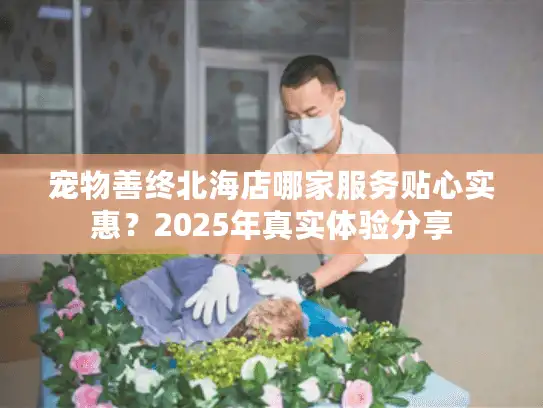 宠物善终北海店哪家服务贴心实惠？2025年真实体验分享