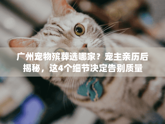 广州宠物殡葬选哪家?宠主亲历后揭秘,这4个细节决定告别质量 广州宠物殡葬选哪家?宠主亲历后揭秘,这4个细节决定告别质量