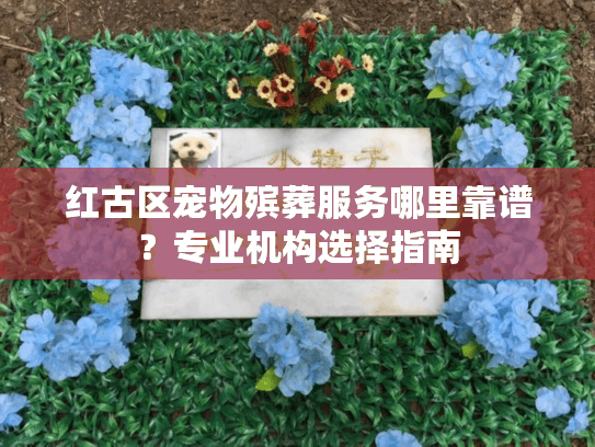 红古区宠物殡葬服务哪里靠谱？专业机构选择指南