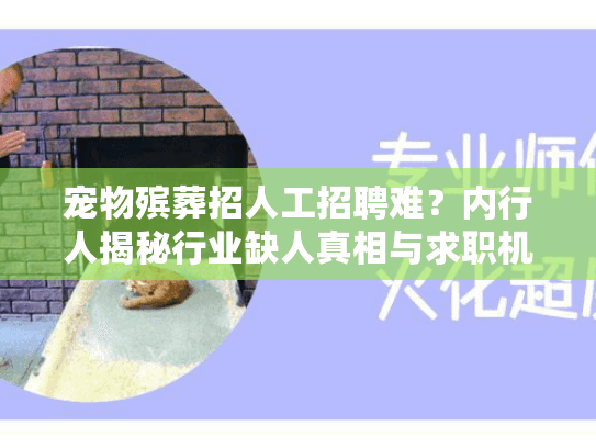 宠物殡葬招人工招聘难？内行人揭秘行业缺人真相与求职机会