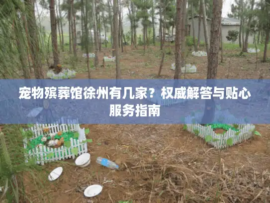 宠物殡葬馆徐州有几家？权威解答与贴心服务指南