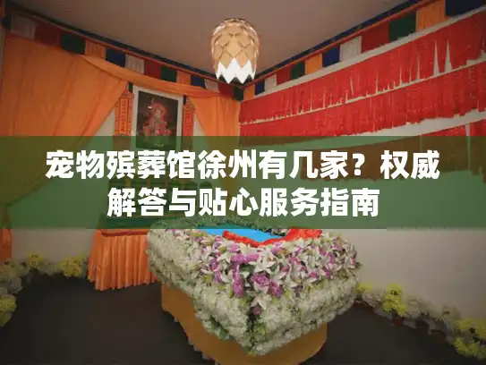 宠物殡葬馆徐州有几家？权威解答与贴心服务指南
