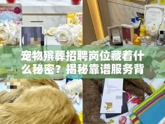 宠物殡葬招聘岗位藏着什么秘密？揭秘靠谱服务背后的从业者要求