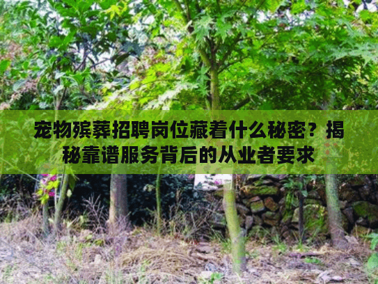 宠物殡葬招聘岗位藏着什么秘密？揭秘靠谱服务背后的从业者要求