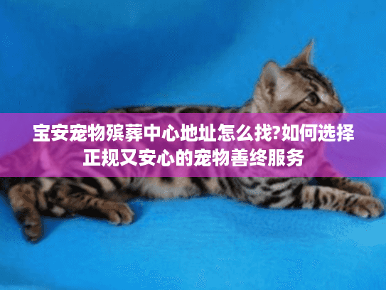 宝安宠物殡葬中心地址怎么找?如何选择正规又安心的宠物善终服务 宝安宠物殡葬中心地址怎么找?如何选择正规又安心的宠物善终服务