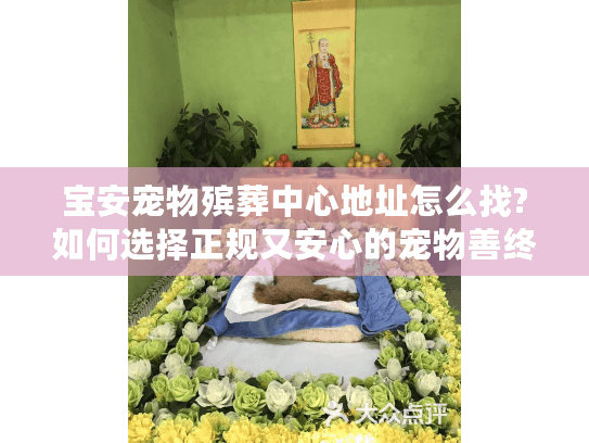 宝安宠物殡葬中心地址怎么找?如何选择正规又安心的宠物善终服务 宝安宠物殡葬中心地址怎么找?如何选择正规又安心的宠物善终服务