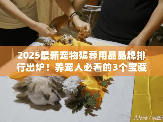 2025最新宠物殡葬用品品牌排行出炉！养宠人必看的3个宝藏品牌你知道吗？