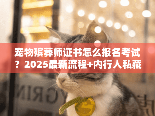 宠物殡葬师证书怎么报名考试？2025最新流程+内行人私藏备考干货