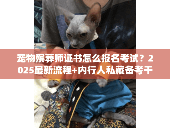 宠物殡葬师证书怎么报名考试？2025最新流程+内行人私藏备考干货