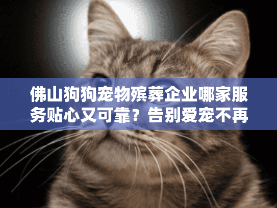 佛山狗狗宠物殡葬企业哪家服务贴心又可靠？告别爱宠不再迷茫