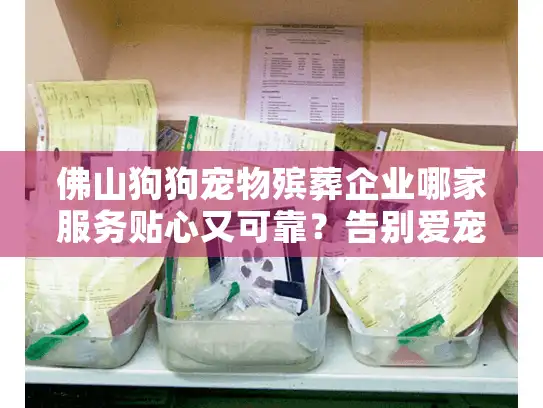 佛山狗狗宠物殡葬企业哪家服务贴心又可靠？告别爱宠不再迷茫