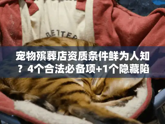 宠物殡葬店资质条件鲜为人知？4个合法必备项+1个隐藏陷阱帮你避坑